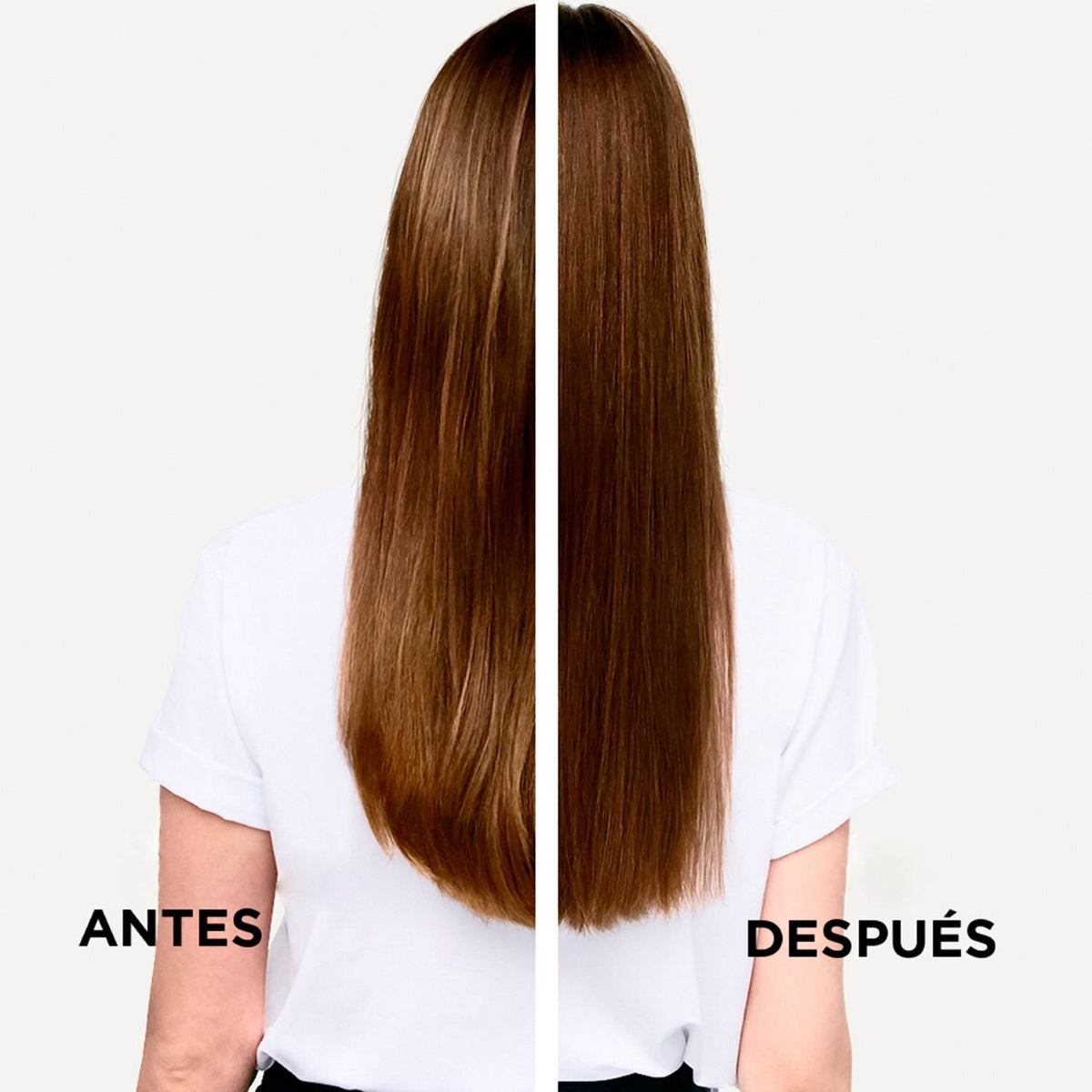 K Msq Dens Avec Stemox - Kerastase