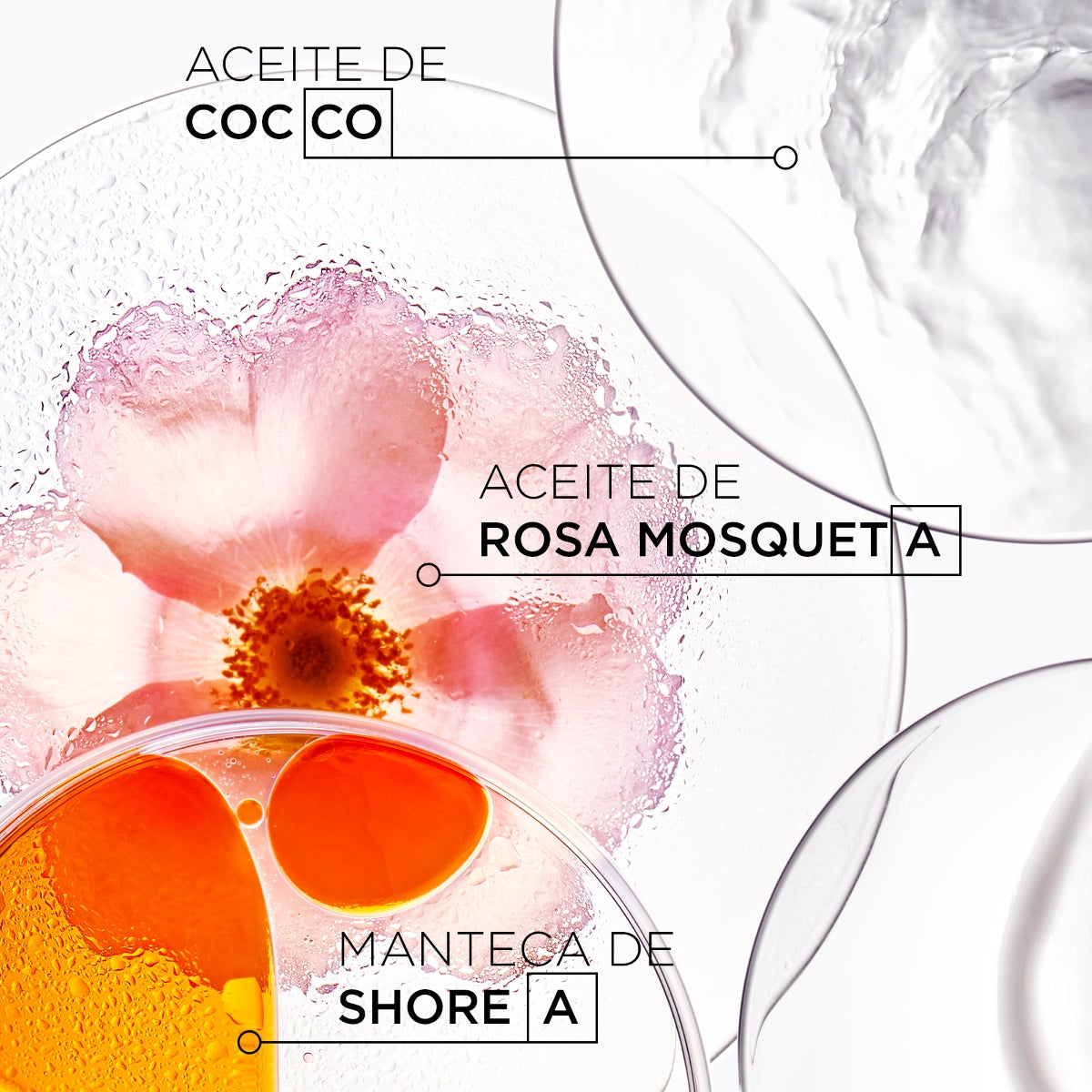 K Oil Disc Oleo Inter - Kerastase