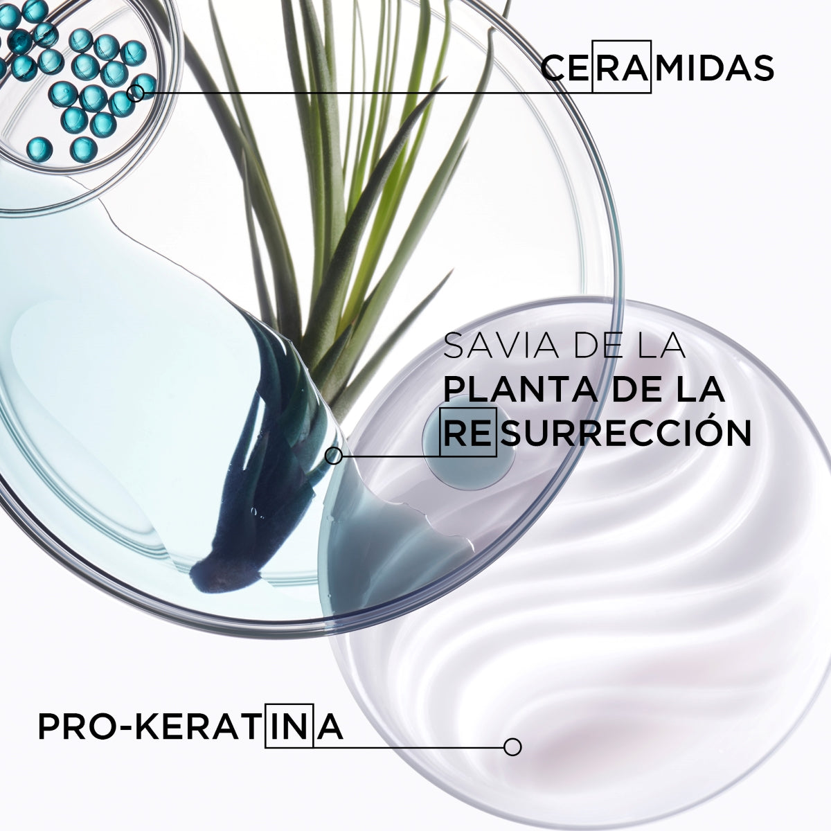 K Res Extentio Thermique - Kerastase