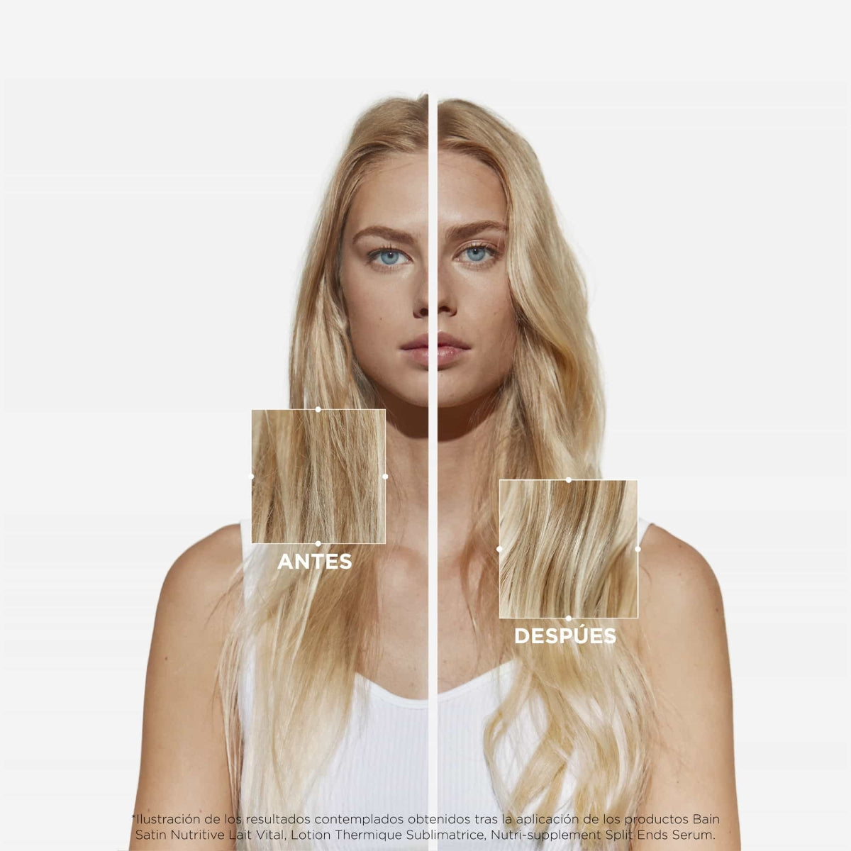 K Nutri Conc PS - Kerastase
