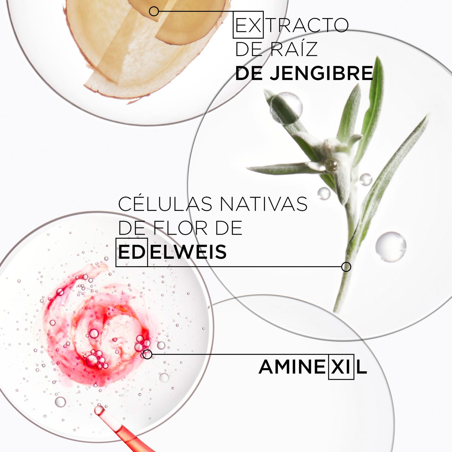 K Genesis Cure Ampollas - Kerastase